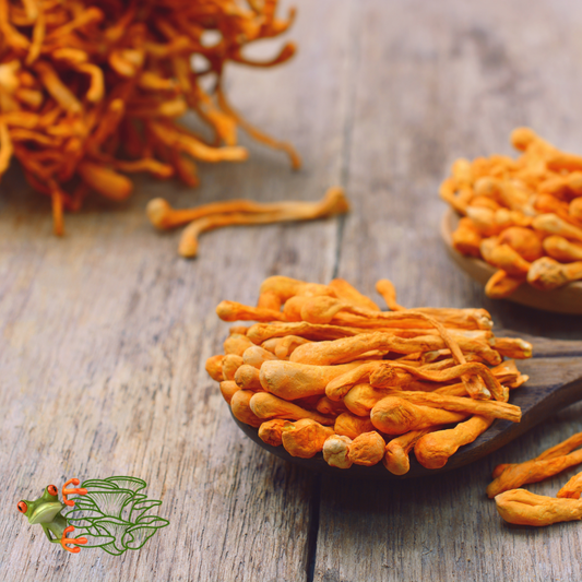 Cordycepts Mushroom Extract Powder - 100g